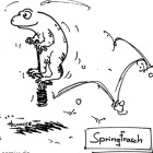 Springfrosch